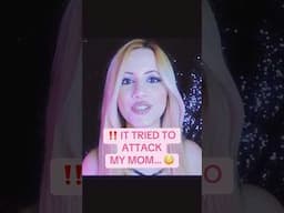 ‼️THIS SPIRIT TRIED TO ATTACK MY MOM..😳😳😳