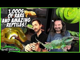 AMAZING REPTILE BREEDING FACILITY IN SOUTH AFRICA! Ultimate Exotics Reptile Room Tour!