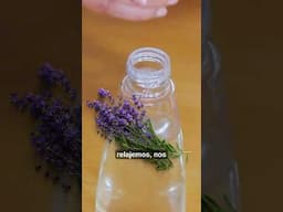 ¡SPRAY PARA ALIVIAR DOLORES DE CABEZA! Hacelo ahora 100% natural 🌿🍃