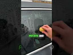 Windshield hack for your car  #reallifehacks