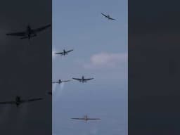 What was the worst day for the Stuka in the Battle of Britain?