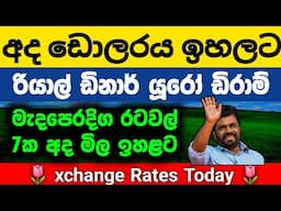 🇱🇰අද ඩොලර් එකක මිල |Dollar rate today in sri lanka |Kuwait dinar exchange rates |saudi riyal mila