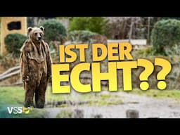 Halb Mensch, halb Bär - Unglaubliche Szenen aus dem Krefelder Zoo | Verstehen Sie Spaß?