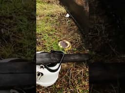 On-ground Cemeteries: How Are The Nenets Buried? 😮​†​†​†#shorts
