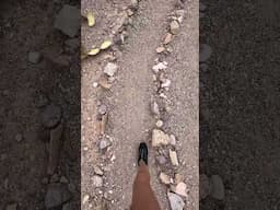 🌀 Labyrinth Walk 🌀