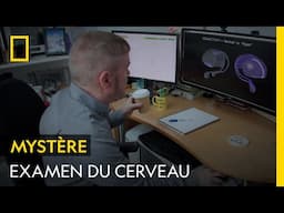 Les personnes ayant vu des OVNIS ont-elles des cerveaux formés différemment ?