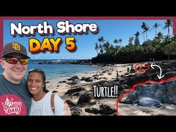 TURTLES, Food, and Fun on the NORTH SHORE | Matsumoto's, Big Wave, and DOLE Plantation