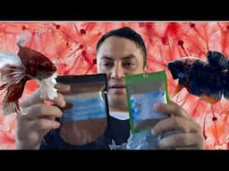Preparándome antes de reproducir mis Bettas - Gente Betta Venezuela Dorman