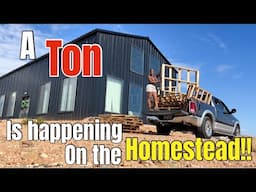 SO MUCH IS GETTING DONE IN SUCH A SHORT TIMEFRAME! DEVELOPING OUR OFF GRID HOMESTEAD!