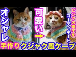 2025ｰ06−01 保護猫たちの「ほっこり猫ライブ」ハッチ＆マック＋黒猫めめ＋がんサバイバーママ Cat live Stream in Japan -Cat Life TV