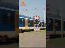 Dutch Railroad Crossing