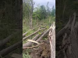 BANGOR PA TORNADO 2025…over 75 trees down where the EF1 landed at my parents #tornado #bangortornado