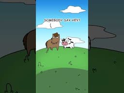 look at the cow!
