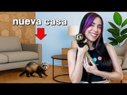 MIS HURONAS CONOCEN LA NUEVA CASA POR PRIMERA VEZ !!