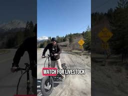 🐐#Roadtrip #Fun #ebike #gotrax #electricbike #bc #saskatchewan #canada @GOTRAX
