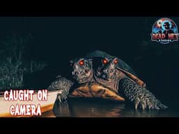 7 Most TERRIFYING Real West Virginia Cryptids: NEW EVIDENCE Revealed