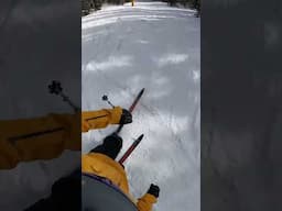 Dynastar NordKap Telemark Skis 205cm with 1” of Fresh #freeheellife #spreadtelemark #skiing #Ski