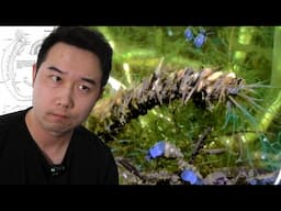 Fishkeeper finds NEVER BEFORE SEEN species in fish tank | Fish Tank Review 310