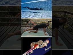 Improve your DYNB freediving kicking technique! #kaizenfreediving #pooltraining #freediving