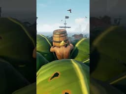 Did you know you can HIDE in palm trees in Sea of Thieves?