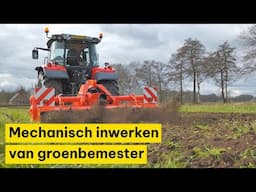 Mechanisch inwerken van groenbemester