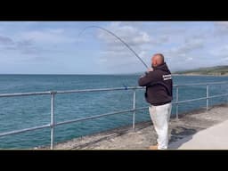 FISH ON ❗️