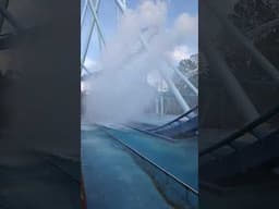 Making a big splash at Busch Gardens Williamsburg