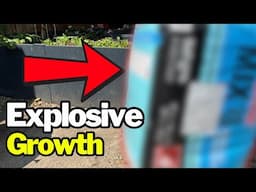 Your Plants Aren’t Growing? Add These 3 Things Today