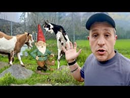 Genius Landscaping Ideas Using Goats for Dummies