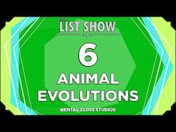 6 Strange Animal Evolutions