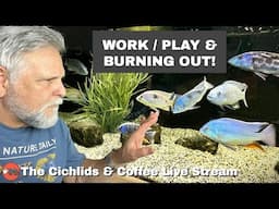 Keeping the Hobby Fun and Avoiding Burn-Out! *LIVE!*