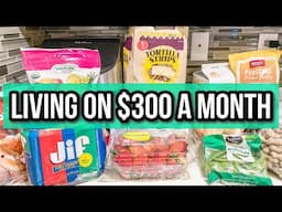MONTHLY GROCERY SHOPPING FOR A FAMILY OF 4 | Budget Grocery Haul 2025