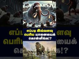 உணவுக்காக அழிக்கப்பட்ட யானை இனம்!!😢🐘