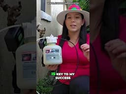 Automate your garden: Fertilizer & Irrigation