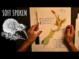 Show and tell ASMR: Kiwi bird of New Zealand - soft spoken
