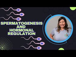 Male Reproductive System | Spermatogenesis and Hormonal Regulation