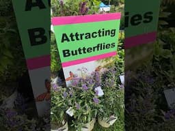 We are ready!  Klehm Garden Fair in Rockford, Illinois.