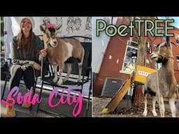 Soda City and the "PoetTREE"