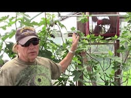 DIY Greenhouse Temperature Fan Control