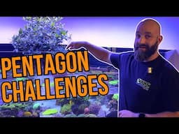 The Hidden Challenges of WWC’s 1,200-Gallon Tank
