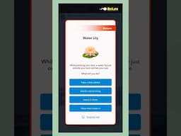 Bitlife outdoor lifestyle features | buy an atv, go snorkeling, spelunking, camping #shortsafrica