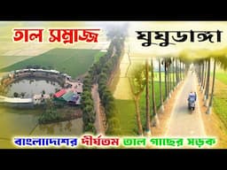 নওগাঁ ঘুঘুডাঙ্গা নয়নাভিরাম তাল সাম্রাজ্য | Ghughudanga Niamatpur Naogaon ||