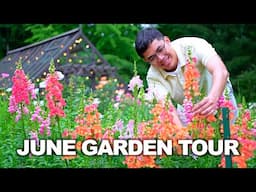 June Gardening Tips: What To Do NOW
