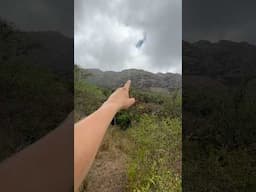 This terrain is insane to bow hunt! If you’re not in shape, forget about it