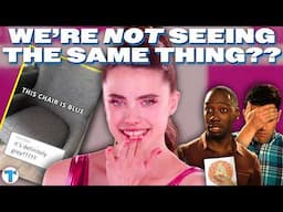 Color Symbolism, Color Blindness, The TikTok Grey/Blue Couch & What It All Means | Explained