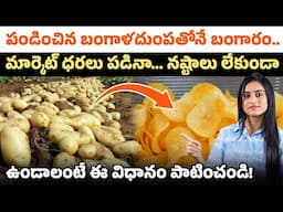 బంగాళదుంపలతో లాభాలు! Chips వ్యాపారం తో రెట్టింపు ఆదాయం 🌱💰 | Farming Tips | Sirisha Kandula