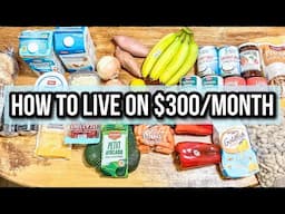 MONTHLY GROCERY HAUL ON A BUDGET | Budget Friendly Grocery Haul