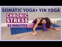 32 Min Somatic Yin Yoga for Chronic Stress & Nervous System Healing