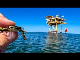 I Tossed This FAKE CRAB on an Offshore Oil Rig and Caught My Dinner {CATCH & COOK}