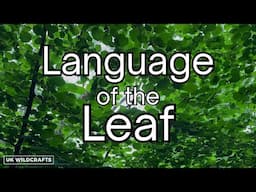 Language of the Leaf - Plant Terminology